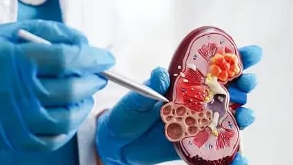 Urology